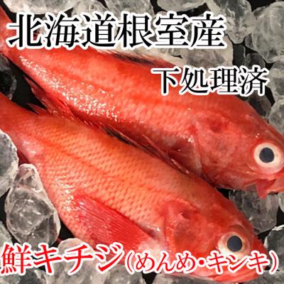 ふるさと納税 根室市 【北海道根室産】キチジ(キンキ・めんめ)×7〜11尾(下処理済) E-30005