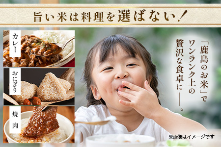 鈴山農園こだわり 夢しずく 玄米 20kg F-91 佐賀県 鹿島市 お米 ブランド米