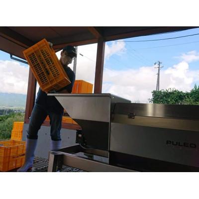 ふるさと納税 池田町 シャルドネ　ヴェニュス |  | 03