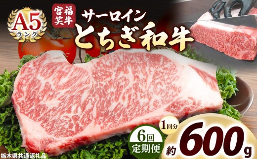 [定期便6回]宮福笑牛(とちぎ和牛) A5 サーロインステーキ 200g×3枚｜数量限定 黒毛 和牛 牛肉 国産牛 国産 ブランド牛 お肉 切り落とし サシ 霜降り 甘い ステーキ すき焼き しゃぶしゃぶ 焼肉 切落し 上品 アレンジ 美味しい 料理 主婦 とちぎ  栃木県 矢板市