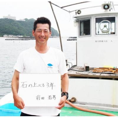 ふるさと納税 南あわじ市 【若男水産】てっさ【3年とらふぐのフグ刺し/冷凍】(約2人前) |  | 03