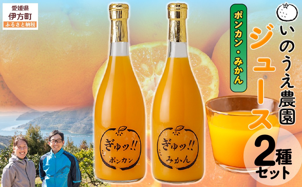 
                  いのうえ農園 ジュース2種セット（ポンカン/みかん）※離島への配送不可  【ふるさと納税 人気 おすすめ ランキング 柑橘 みかん ミカン 蜜柑 ジュース ミカンジュース みかんジュース ポンカン ジュース フルーツ 果物 産地直送 いのうえ農園 愛媛県産 愛媛県 伊方町 送料無料】 IKTAI017 
                