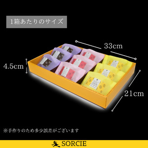 【着日指定可】焼き菓子 ギフト レモンケーキ アソート 3種 9個入 (レモン3個・苺3個・オレンジショコラ3個) 【 手提げ袋付 】 スイーツ 個包装 詰め合わせ | デザート ケーキ お菓子 洋菓