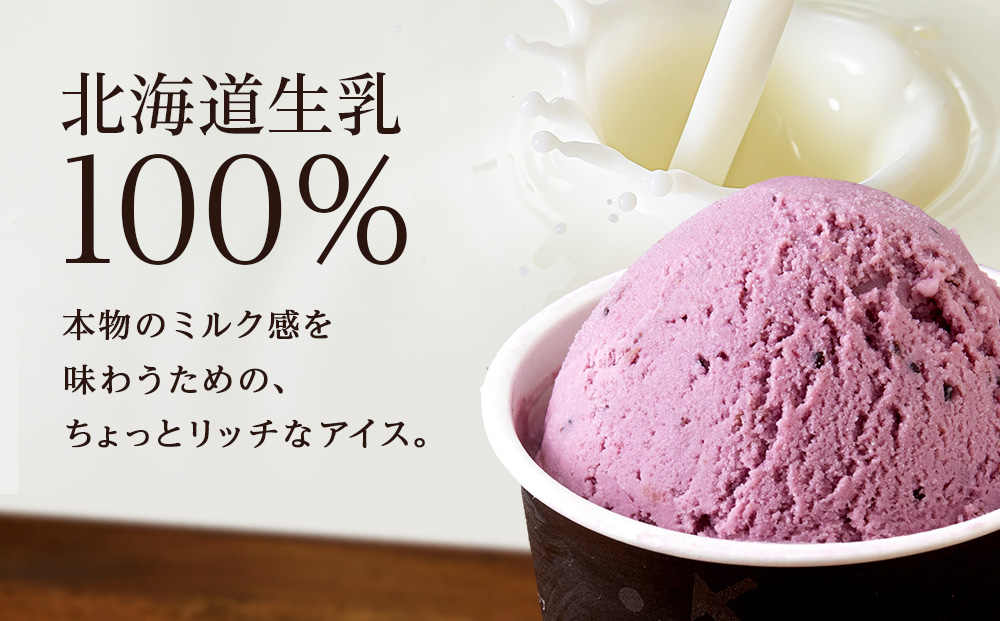 リッチアイスクリーム 手摘みカシスとクリームチーズ 18個セット（100ml）アイス スイーツ おやつ 冷凍 食べ比べ