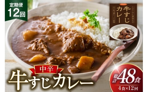 カレー セット 牛 すじ カレー 4食 セット 中辛 12回 定期便 [カレー工房NVfoods 長崎県 平戸市 hr42bgy400038] カレー スパイス レトルト セット