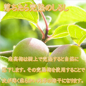 いなみの里梅園 紀州南高梅 はちみつ梅 850g 塩分約8％【農林水産大臣賞受賞】印南町