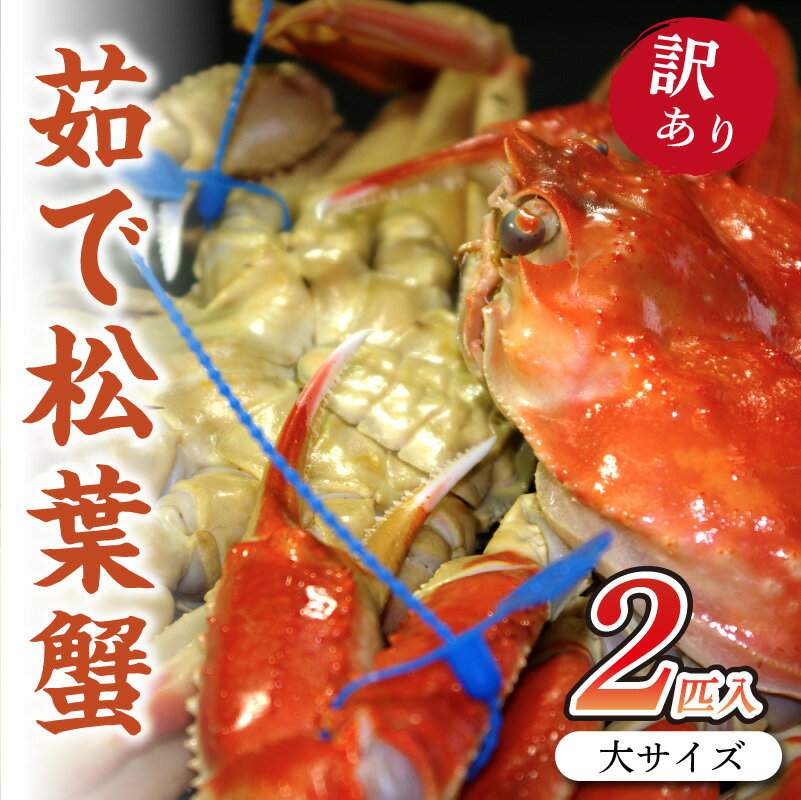 【ふるさと納税】日本海産　ブランド蟹　茹で松葉蟹【訳あり】大サイズmatubakani900　2匹入り ズワイガニ 松葉ガニ 900g × 2 国産 カニ ガニ かに 松葉ガニ ボイル 高級 訳あり まるごと 送料無料