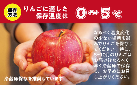 りんご サンつがる 秀～特秀3kg マルハ農園 沖縄県への配送不可 2026年9月上旬頃から2026年9月中旬頃まで順次発送予定 令和8年度収穫分 エコファーマー認定 信州 果物 フルーツ リンゴ 林