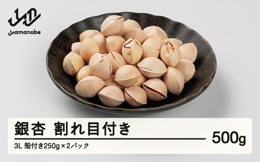 《先行予約》2026年 山形県産 銀杏 割れ目付き 3L 約500g（250g×2パック） 2026年10月上旬から順次発送 ぎんなん おつまみ  個包装 小分け 秋 野菜 it-giw3x500
