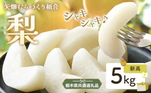 N07 梨 なし 新高梨 5kg フルーツ 先行予約 矢畑むらづくり組合《9月中旬-9月末頃出荷》 栃木県【栃木県共通返礼品　栃木県産】【配送不可地域あり】(離島)