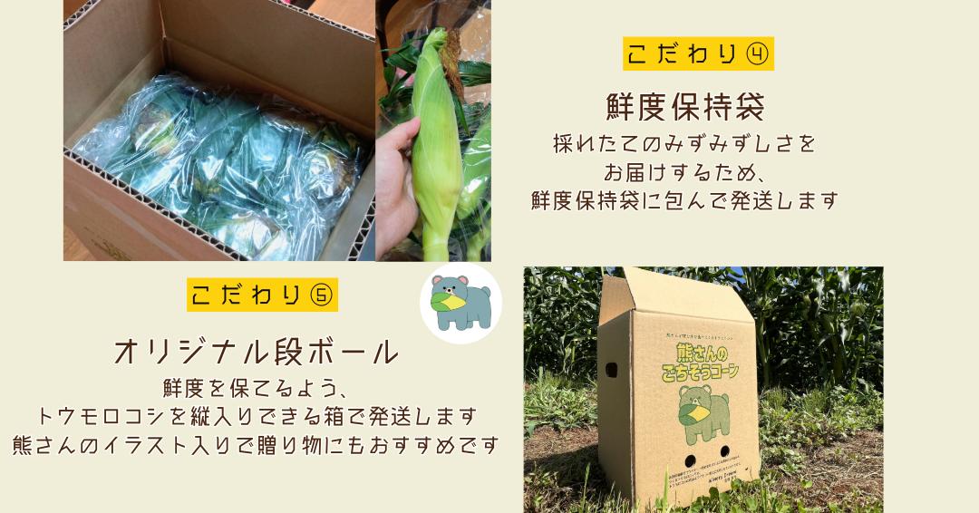 【 冷蔵 クール 】 朝採り トウモロコシ 熊さんのごちそうコーン 20本 ～ 22本 品種 ゴールドラッシュ 合同会社TAMAI WINE　配送先は本州限定 2026年7月下旬頃から2026年8月下