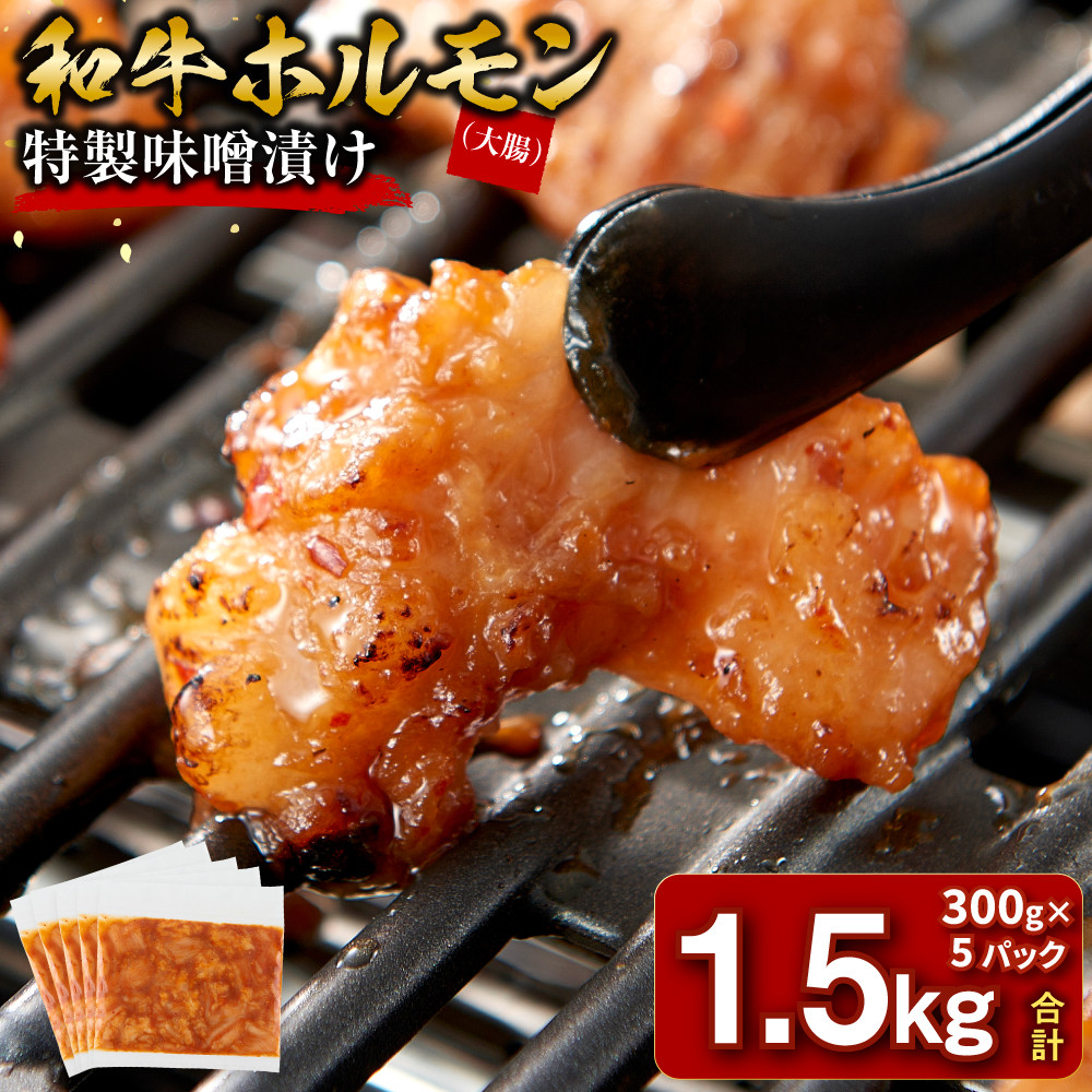 ＜訳アリ＞和牛ホルモン（大腸）　特製味噌漬け　1.5kg(300g×5）【2026年9月発送】【kw0096-0032-9】