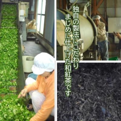 ふるさと納税 津野町 四万十紅茶〈リーフティー〉50g×10袋 |  | 03