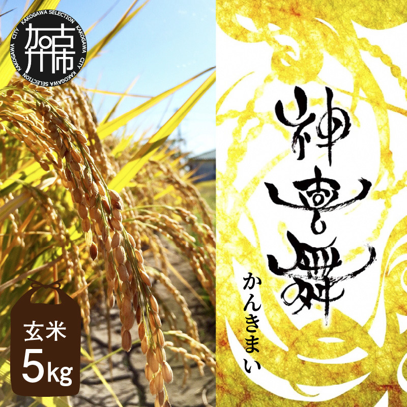 お米 【神喜舞】 玄米5kg [令和7年産]《 お米 玄米 5キロ 安心 安全 米 おこめ 国産 送料無料 ヒノヒカリ 》【2502B08403】