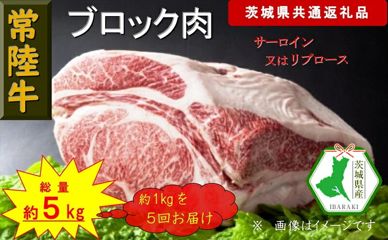 【ふるさと納税】【5か月定期便】【常陸牛】ブロック肉 約1kg【定期便】計5回 総量約5kg（茨城県共通返礼品）【常陸牛　茨城県産　日立市】
