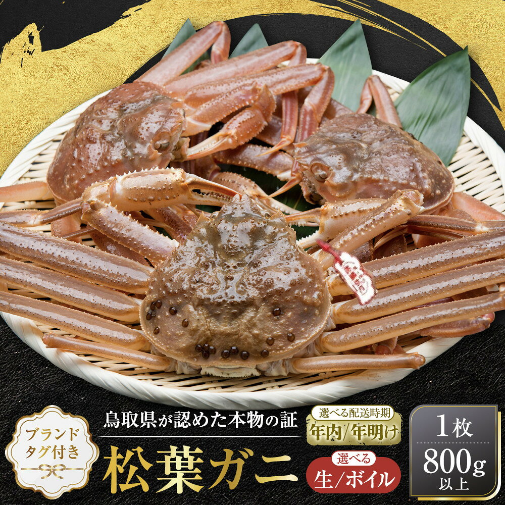 【ふるさと納税】【先行予約】ブランドタグ付き 松葉ガニ1枚（800g以上）【生・ボイル】【年内・年明け配送選択可】 | 蟹 魚介類 水産 食品 人気 おすすめ 送料無料