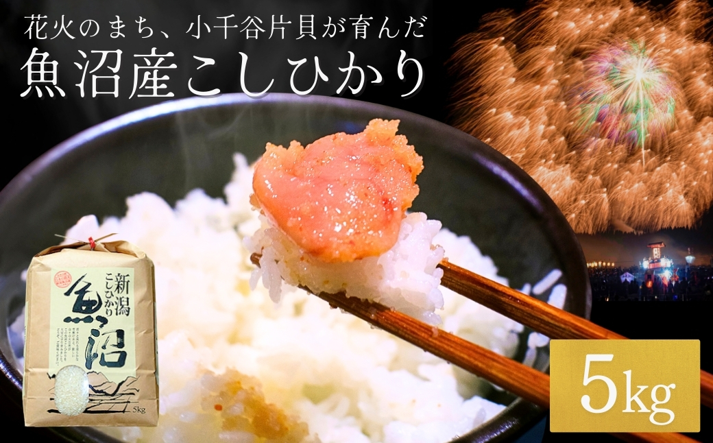 【令和7年産】魚沼産コシヒカリ5kg 世界一の四尺玉の町片貝町からお届け 白米 魚沼産 新潟県産 精米 米萬商店【0002-KM01-04】