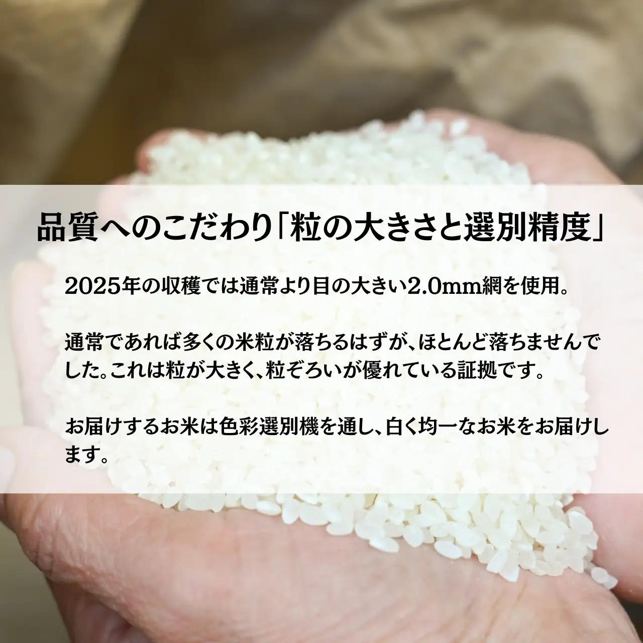 米 令和7年産 コシヒカリ 精米  10㎏【B-102001】