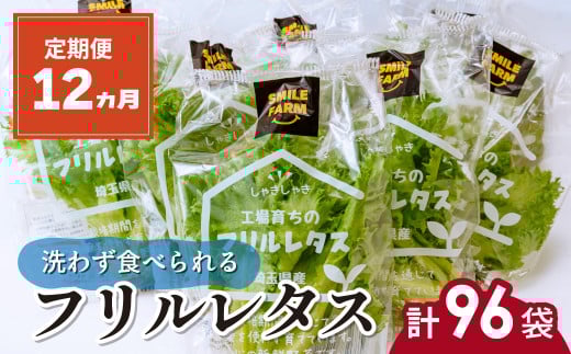【定期便12ヵ月】 ＜洗わず食べられる・室内水耕栽培＞ フリルレタス 8袋(80～110g/袋)×12ヵ月 計96袋