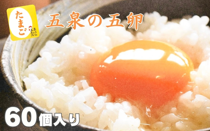 キムラファームの産みたて卵 赤たまご60個（Mサイズ）産みたてたまご たまご 卵 玉子 タマゴ 鶏卵 オムレツ 卵かけご飯 たまご焼き 新潟県 五泉市