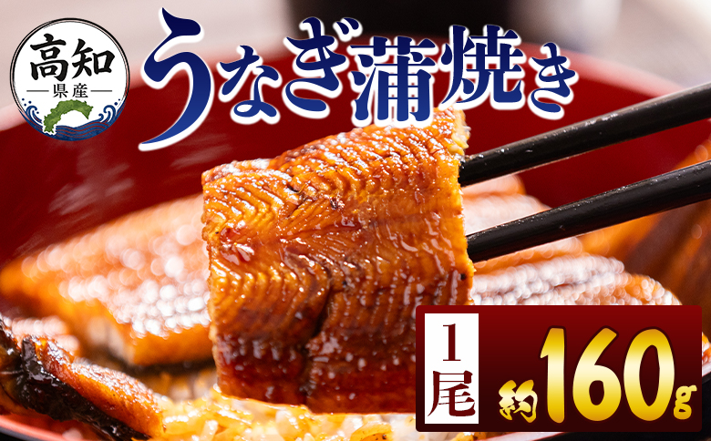 高知県産蒲焼きうなぎ １６０ｇ １尾 fb-0151