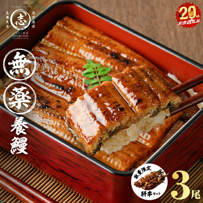 【ふるさと納税】【年内発送】【志布志市制20周年記念】【無薬養鰻】 鹿児島産 山田のうなぎ ＜計480g以上＞（160g以上×3尾） 肝串セット うなぎ 鰻 ウナギ 無薬 養鰻 無投薬 3尾 国産 九州産 蒲焼き かばやき 冷凍 うな重 ひつまぶし ランキング 人気【山田水産】a6-062