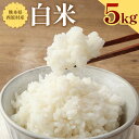 【ふるさと納税】お米 白米 5kg 米 精米 単一原料米 主食 グルメ 炭水化物 国産 九州産 熊本県産 西原村産 送料無料
