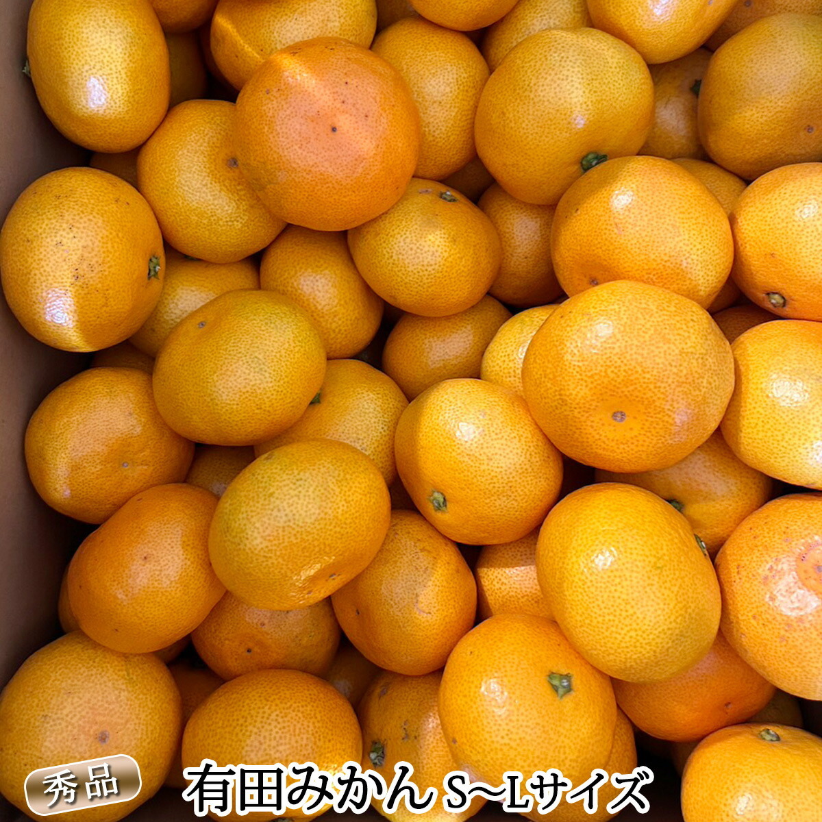DZ6009n_01_【2026年1月発送】秀品 有田みかん 和歌山県産 S～Lサイズ 大きさお任せ 約3kg_イメージ4