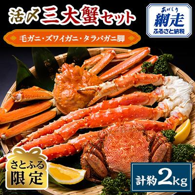ふるさと納税 網走市 【2025年8月上旬発送】活〆三大蟹セット　毛ガニ1尾　ズワイガニ1尾　タラバガニ脚1kg | 