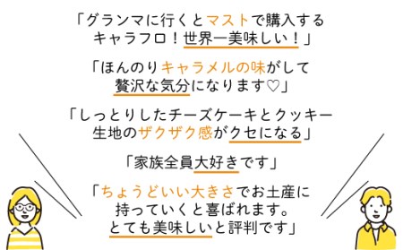 チーズケーキ キャラフロ 計21本 7本入り×3箱 ｷｬﾗﾒﾙ ｷｬﾗﾒﾙ
