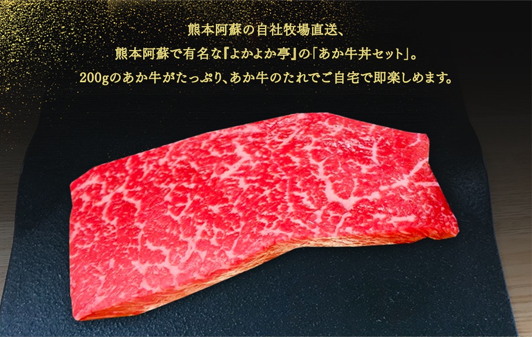 あか牛丼(2人前)セット(あか牛モモ約200g あか牛のたれ40g×3付き)