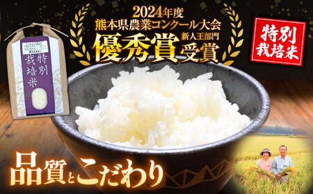 6回定期便R7年度くまさんの輝き白米5kg 計30kg白米5キロAYCC029