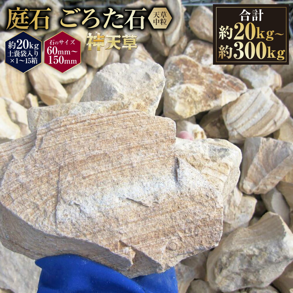 【ふるさと納税】＜選べる容量＞ 庭石 ごろた石 天草中粒 （60mm～150mm） （約20kg （1箱） ／ 約60kg （約20kg × 3箱 ） ／ 約100kg （約20kg × 5箱） ／ 約300kg （約20kg × 15箱） ） ／ 庭 石 しま模様 天然石 ゴロタ ブラウン 天草石 熊本県 上天草市 送料無料