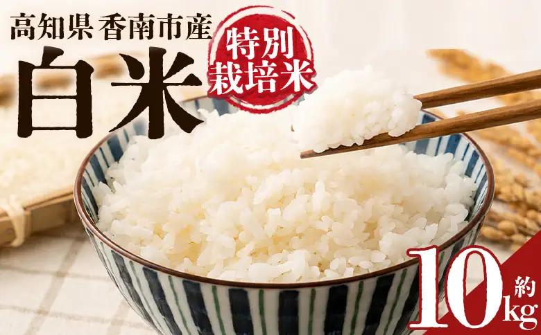 令和８年度産 白米（特別栽培米）10kg ka-0003