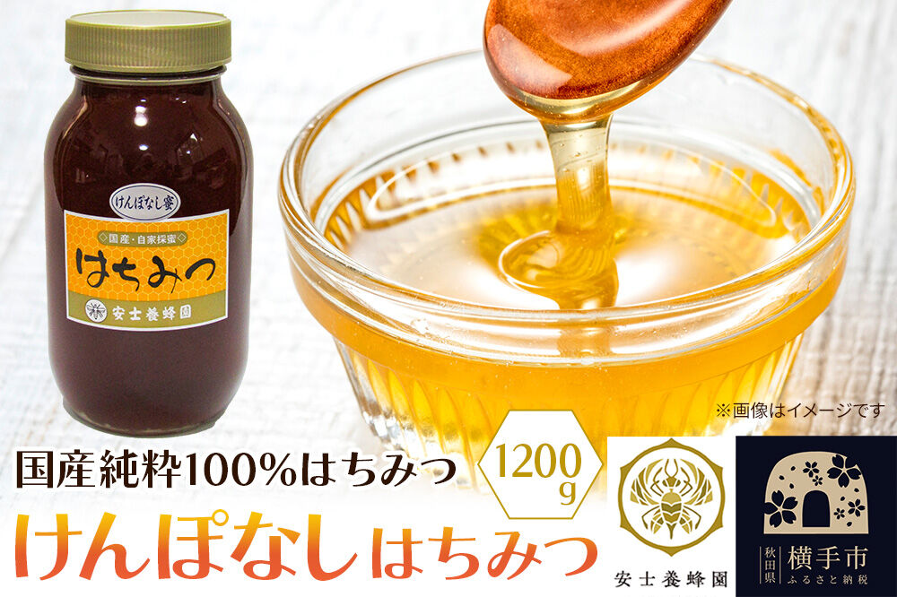 けんぽなしはちみつ 1200g [蜂蜜 はちみつ ハチミツ 国産 純粋 天然 無添加 玄圃梨 けんぽなし 化粧箱 贈り物]