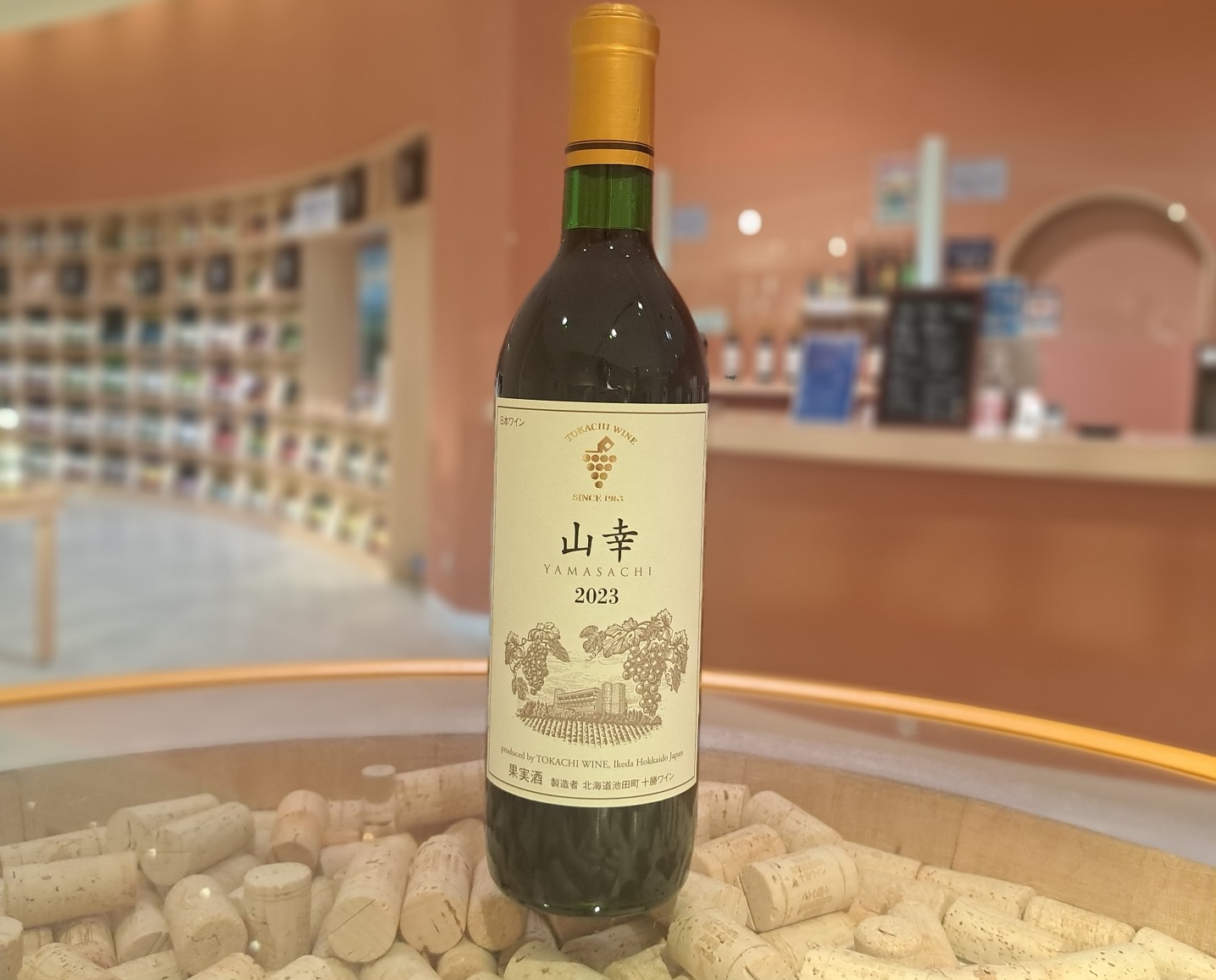 十勝ワイン いけだワイン城おすすめ 3種飲み比べセット 赤ワイン 山幸 白ワイン シャルドネ スパークリング ブルーム白 北海道ワイン 北海道 池田町