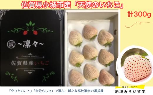 
【先行予約｜イチゴ農家 凛々】佐賀県小城市産「天使のいちご」計300g
