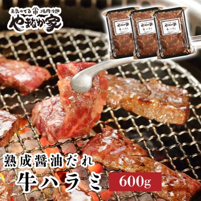 
            やまなか家の旨みたっぷり牛ハラミ＜熟成醤油だれ＞600g(K2-028)【1405429】
          