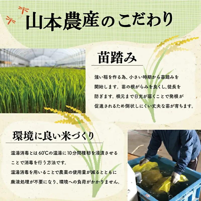 三重県産 山本農産のお米（コシヒカリ）の定期便 10kg×3回 yn17