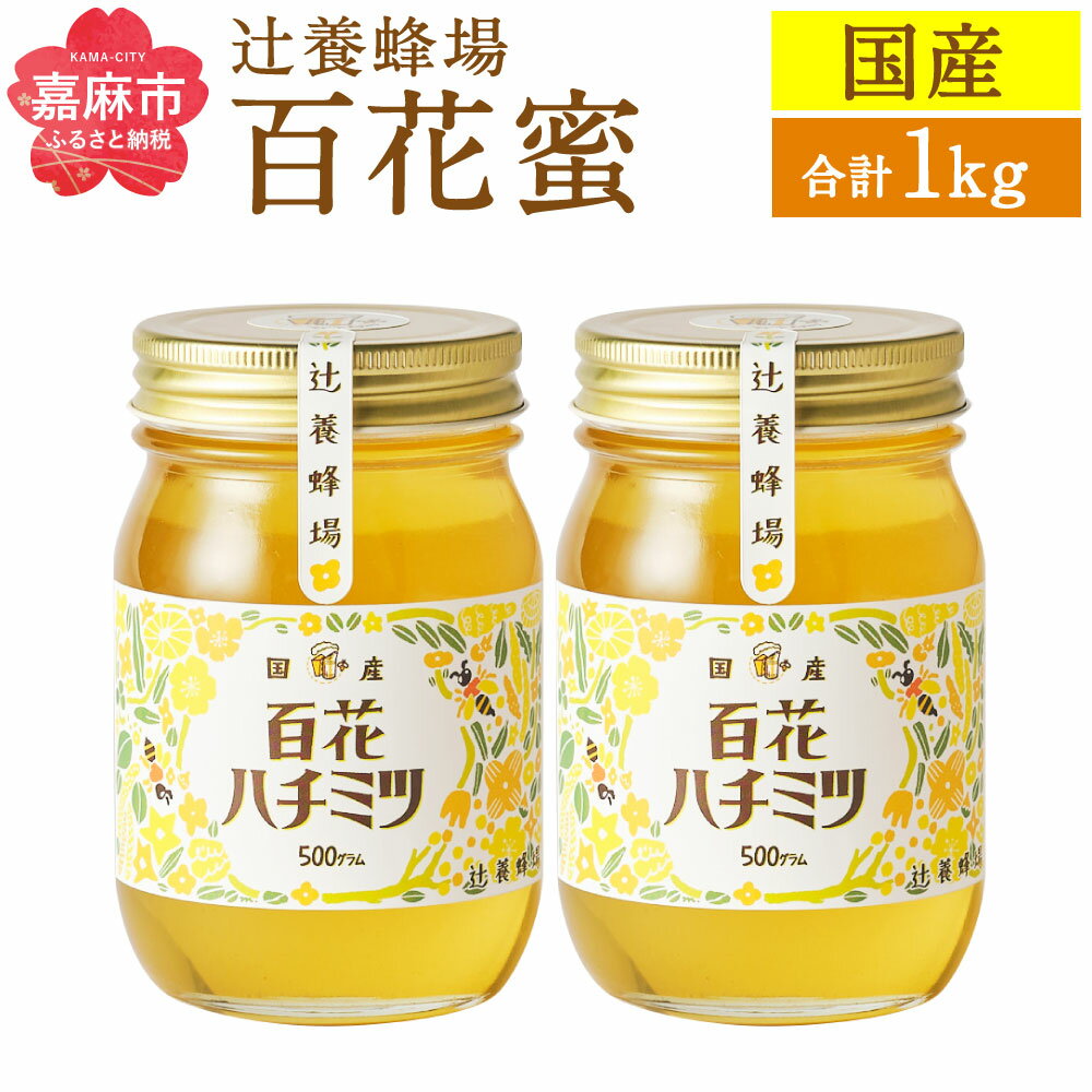 【ふるさと納税】辻養蜂場株式会社 百花蜜 500g×2個セット 合計 1kg はちみつ 蜂蜜 国産 九州産 瓶 送料無料