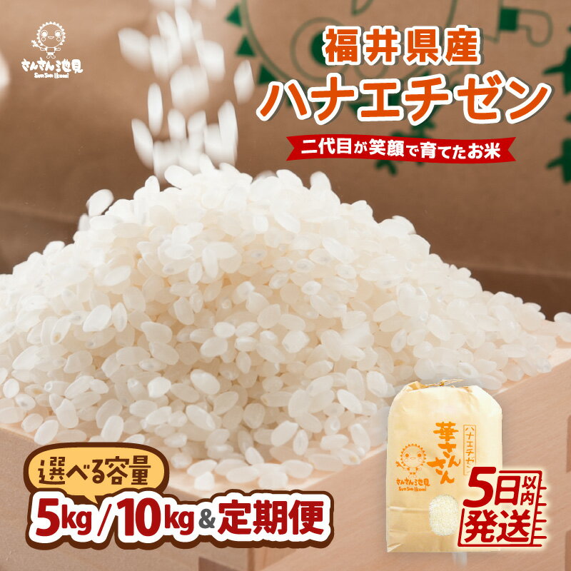 【ふるさと納税】【令和7年産・新米】福井県産 ハナエチゼン 5kg / 10kg 【選べる内容量・精米方法・配送回数】 〜坂井市三国町産・こだわりの精米対応〜 【 米 お米 定期便 6ヶ月 12ヶ月 無洗米 玄米 白米 5キロ 10キロ ふるさと納税米 産地直送】