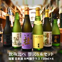 【ふるさと納税】 楽天限定 日本酒 贅沢 飲み比べセット 大吟醸 吟醸 6本セット (720ml×6)「塩竈 浦霞 阿部勘 贅沢 飲み比べ720ml 6本セット」 お酒 酒 sake 飲み比べ セット 大吟醸 吟醸酒 純米 純米大吟醸 山田錦 米 宮城県 塩竈市 相原酒店