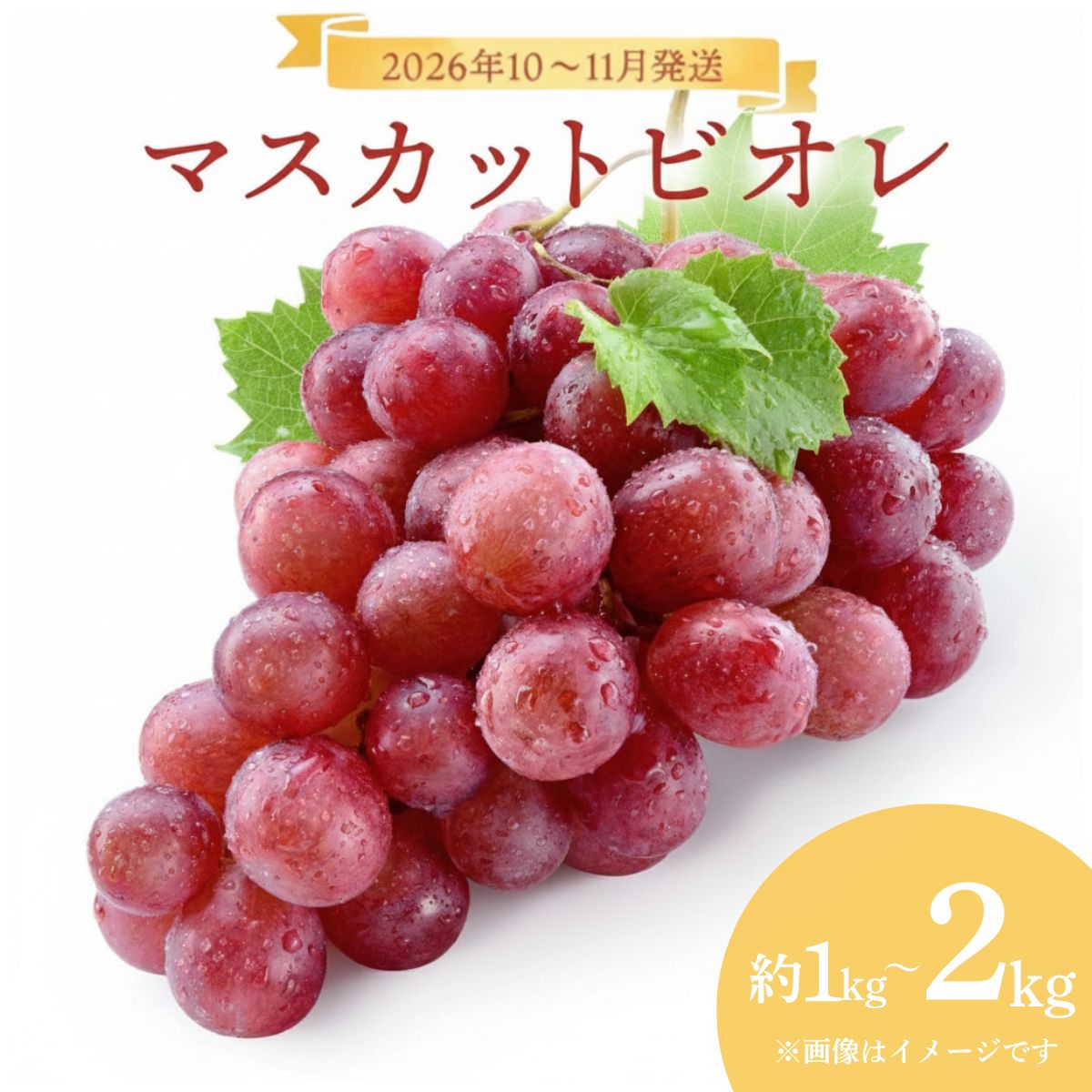 【ふるさと納税】【選べる容量】＜2026年発送分 先行予約＞10月～11月発送お土産マスカットビオレ1kg箱or2kg箱【029-a009/029-a010】
