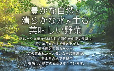 ピクルス 大瓶 3本セット 【メロンドーム】 約260g×3本 ピクルス 野菜 酢漬け 漬物 おつまみ 旬の野菜 《30日以内に出荷予定(土日祝除く)》