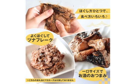鰹ツナパウチ 100g×5袋セット 100グラム 国産 おにぎり つなまよ ツナマヨ ご飯 お弁当 魚 パスタ サラダ たんぱく質 タンパク質 おやつ かつお【企業組合　宇佐もん工房】 [BQAB06