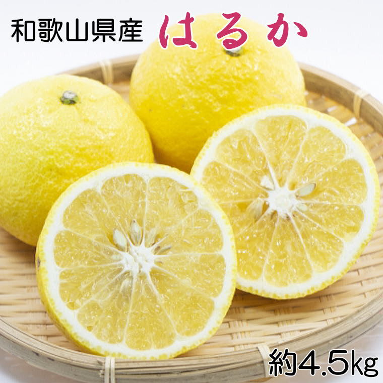 【ふるさと納税】【さわやか柑橘】和歌山県産はるかみかん約4.5kg（サイズ混合　秀品）※2026年2月下旬～2026年3月下旬頃順次発送 / みかん ミカン オレンジ 柑橘 和歌山 はるみ はるみみかん