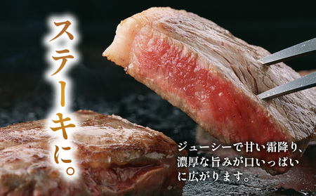 飛騨牛 ロースステーキ 2枚 360g ステーキソース付き A5 A4 国産 牛 黒毛和牛 和牛 牛肉 ロース 豪華 ギフト 贈答 肉のひぐち