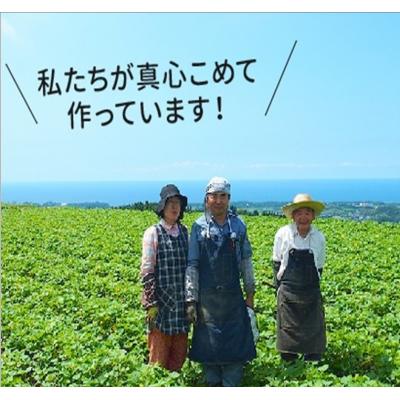 ふるさと納税 南九州市 産地直送 朝採れオクラ |  | 03