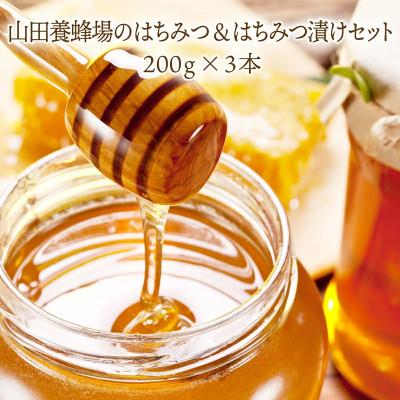 ふるさと納税 鏡野町 はちみつ&amp;はちみつ漬けセット(87665)