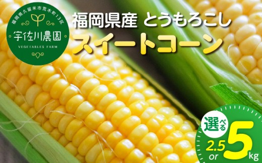 
                  【2027年6月お届け】 福岡県産とうもろこし（スイートコーン） _ 福岡県産 とうもろこし 選べる 容量 2.5kg ～ 5kg スイートコーン 6本 ～ 18本 生でも食べれる 朝どれ 甘み ジューシー 旬 野菜 食材 宇佐川農園 お取り寄せ お取り寄せグルメ 福岡県 久留米市 送料無料 _ Gv055-sku
                